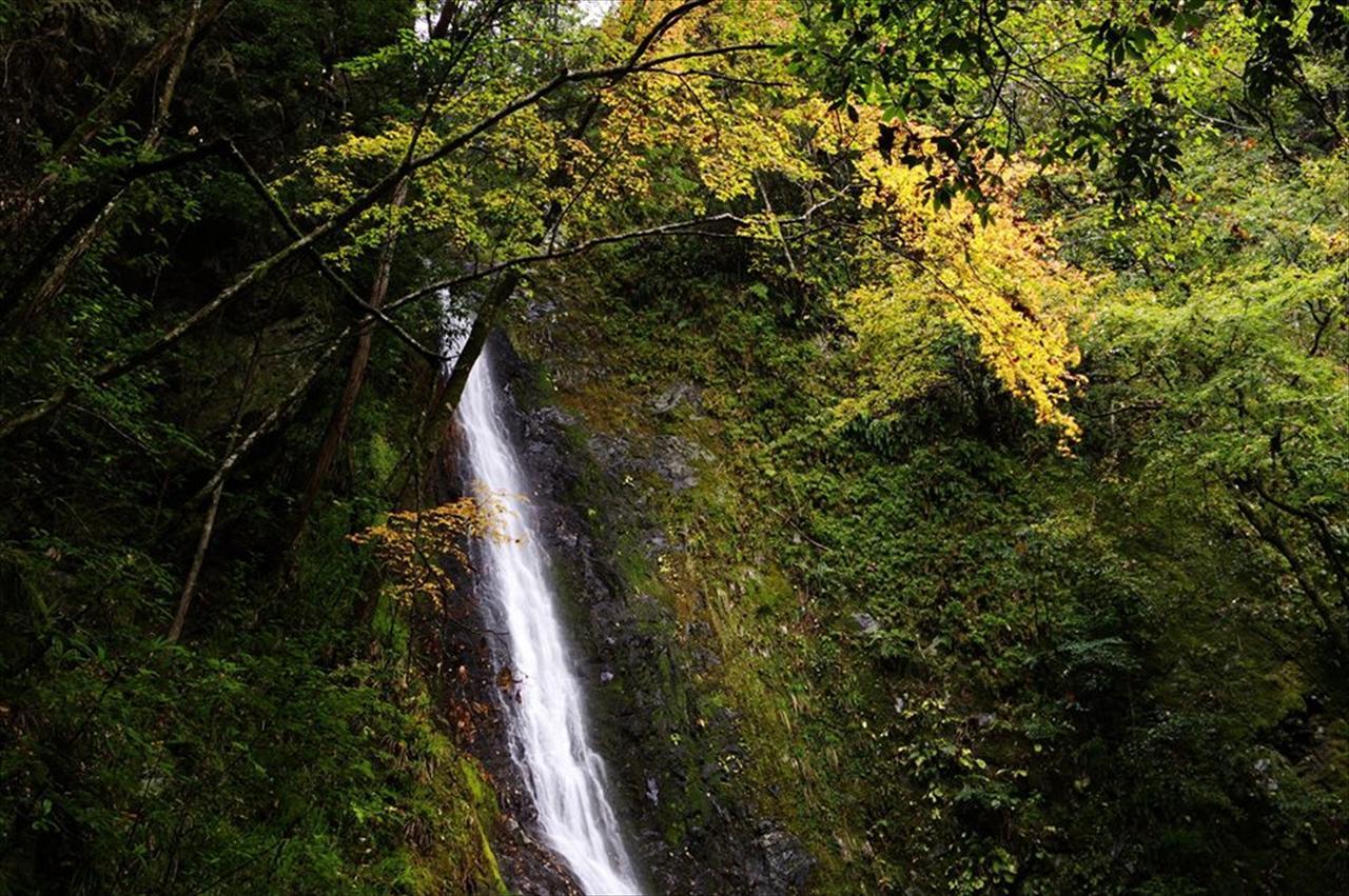 Villa Yadori Onsen Iyashinoyu Hashimoto  Esterno foto