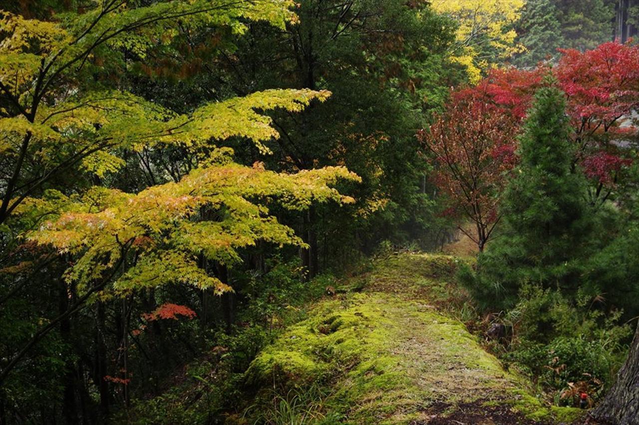 Villa Yadori Onsen Iyashinoyu Hashimoto  Esterno foto